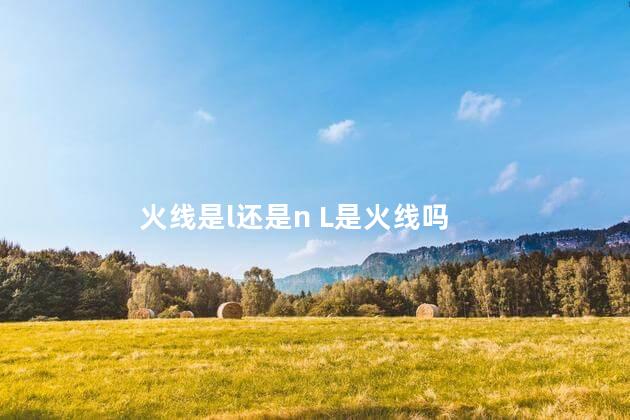 火线是l还是n L是火线吗